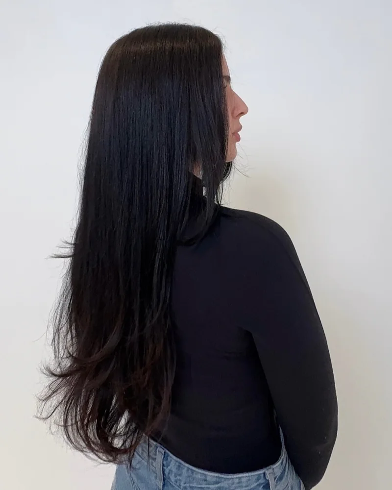 Long, sleek dark hair with soft layered ends, seen from behind